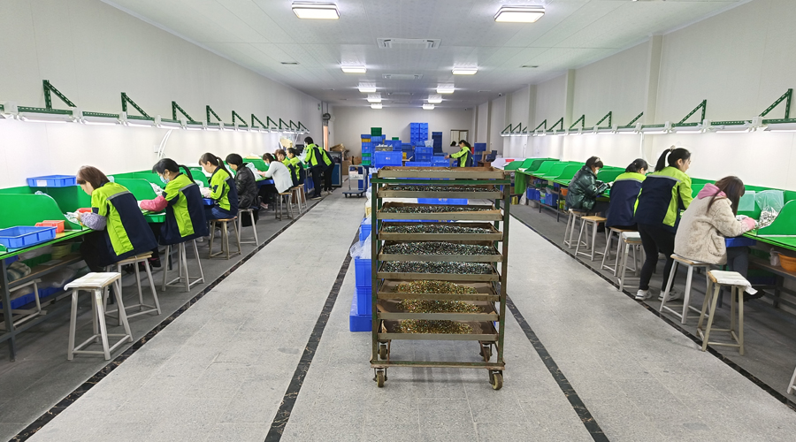 專(zhuān)業(yè)技術(shù)團(tuán)隊(duì)